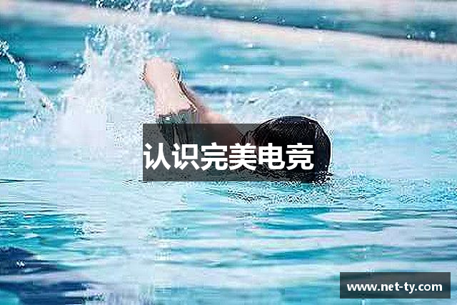 认识完美电竞